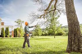 Leaf Removal in Lavon, TX